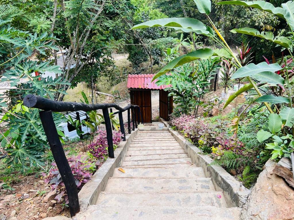 Minca Cabana La Roca Santa Marta  Exterior photo