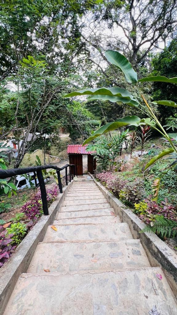 Minca Cabana La Roca Santa Marta  Exterior photo